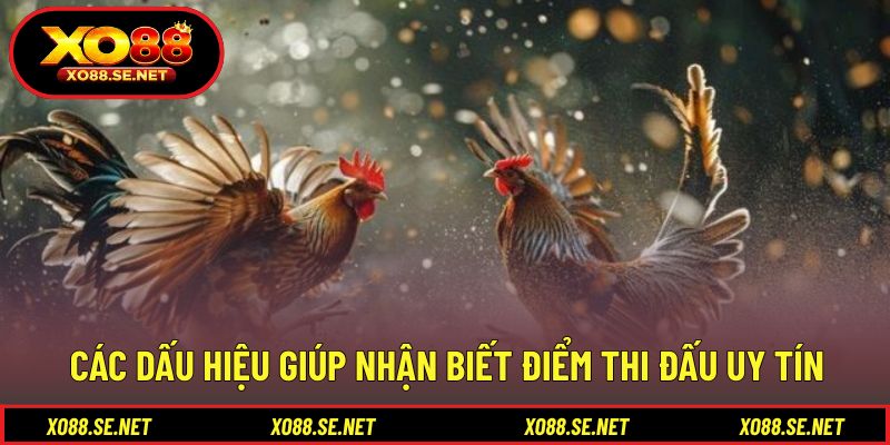 Các dấu hiệu giúp nhận biết điểm thi đấu uy tín Các dấu hiệu giúp nhận biết điểm thi đấu uy tín
