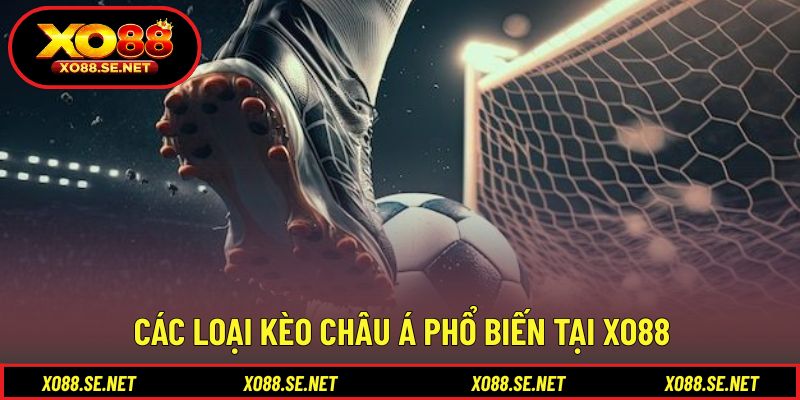 Danh sách các mức chấp thường gặp khi theo dõi trận đấu Danh sách các mức chấp thường gặp khi theo dõi trận đấu