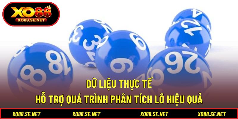 Dữ liệu thực tế hỗ trợ quá trình phân tích lô hiệu quả Dữ liệu thực tế hỗ trợ quá trình phân tích lô hiệu quả