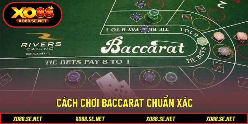 Hướng dẫn cách chơi baccarat đúng quy trình cho người mới Hướng dẫn cách chơi baccarat đúng quy trình cho người mới