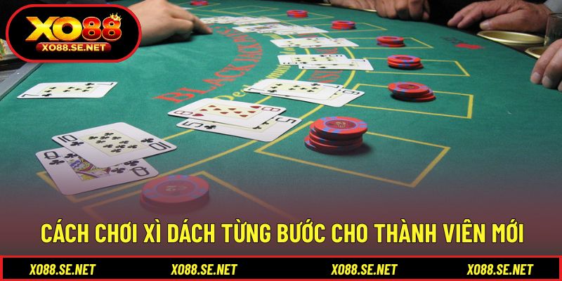 Hướng dẫn cách chơi xì dách cho người mới làm quen Hướng dẫn cách chơi xì dách cho người mới làm quen