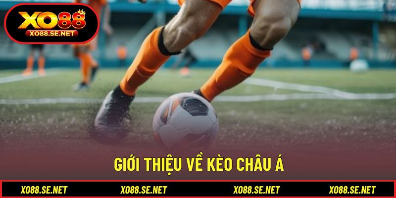 Khái quát nền tảng hình thức cược chấp phổ biến Khái quát nền tảng hình thức cược chấp phổ biến
