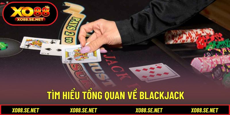 Kiến thức cần biết trước khi tiếp cận cách chơi blackjack Kiến thức cần biết trước khi tiếp cận cách chơi blackjack
