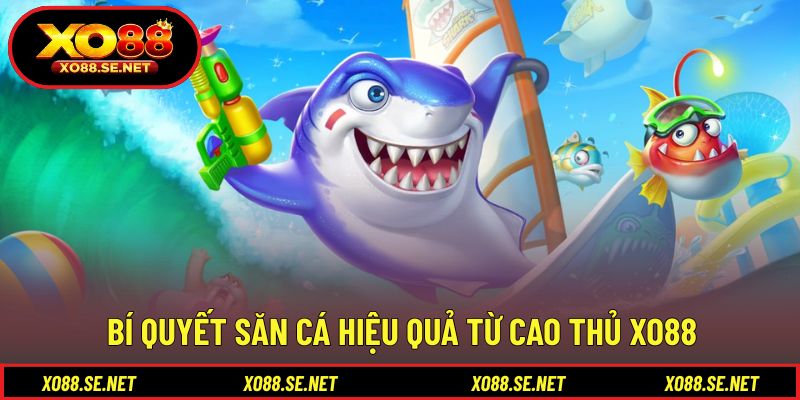 Kinh nghiệm thực tế giúp nâng cao hiệu quả tham gia Kinh nghiệm thực tế giúp nâng cao hiệu quả tham gia