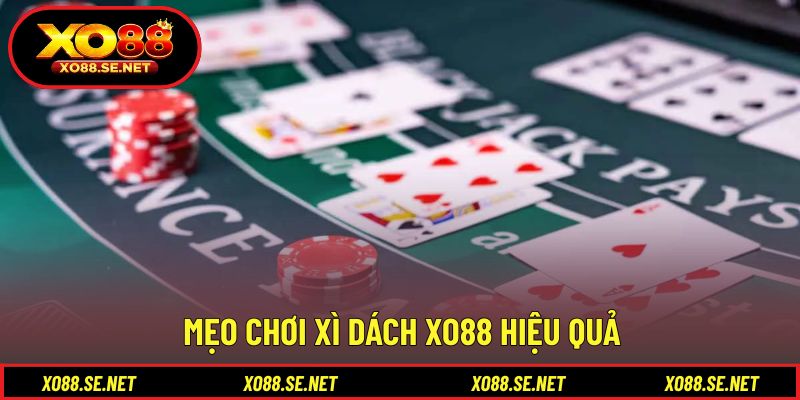 Kinh nghiệm thực tế hỗ trợ quá trình tham gia Kinh nghiệm thực tế hỗ trợ quá trình tham gia