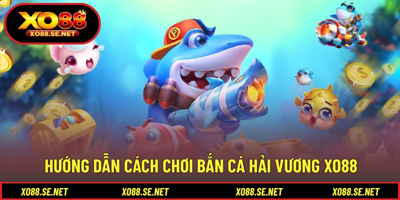 Mẹo tham gia bắn cá hải vương hiệu quả cho người mới Mẹo tham gia bắn cá hải vương hiệu quả cho người mới