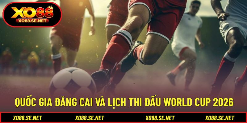 Thông tin địa điểm tổ chức và kế hoạch thi đấu Thông tin địa điểm tổ chức và kế hoạch thi đấu