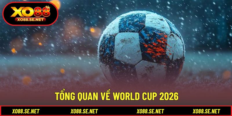 Toàn cảnh giải đấu World Cup 2026 sắp diễn ra Toàn cảnh giải đấu World Cup 2026 sắp diễn ra