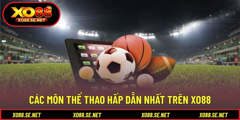 Danh sách môn nổi bật được nhiều hội viên lựa chọn Danh sách môn nổi bật được nhiều hội viên lựa chọn