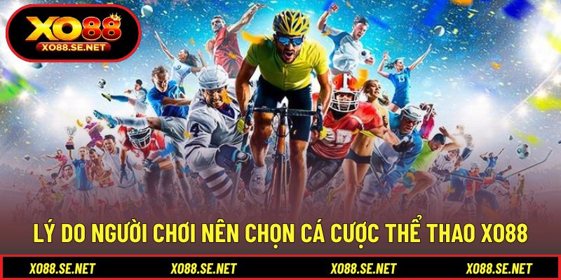 Những yếu tố tạo nên sức hút của chuyên mục thể thao Những yếu tố tạo nên sức hút của chuyên mục thể thao